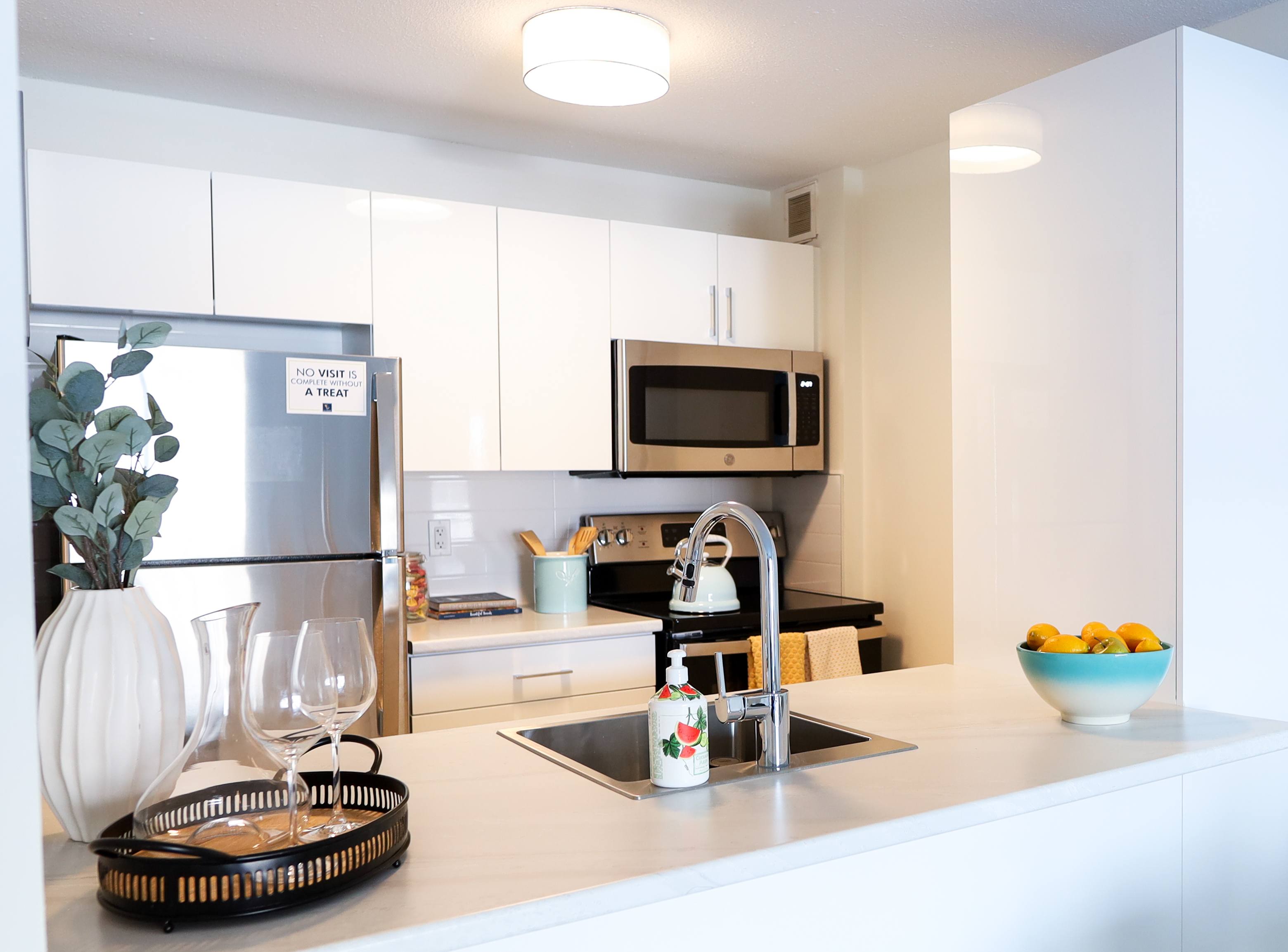 studio apartment - Avalon Park, Ottawa 3
