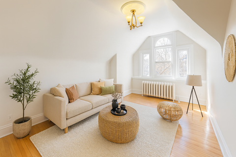 A living room with a white couch, a tree, a table, and a lamp.
