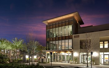 7800 Westside Drive, Suite 108 1-3 Beds Apartment for Rent - Photo Gallery 6