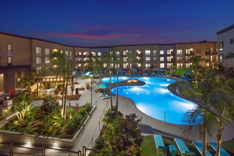 A large outdoor pool surrounded by palm trees and plants at Purl Apartments, San Diego, 92108