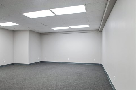 A large empty room with carpeted floor and fluorescent lights on the ceiling.