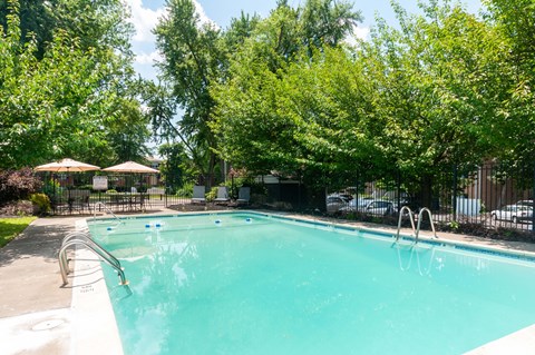 A swimming pool surrounded by trees and a fence.