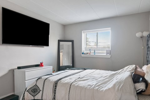 A bedroom with a bed, a dresser, a mirror, and a television.