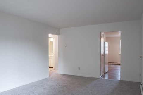 A large empty room with a carpeted floor and two doors.