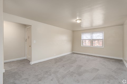 A room with a carpeted floor and a window with a view of trees outside.
