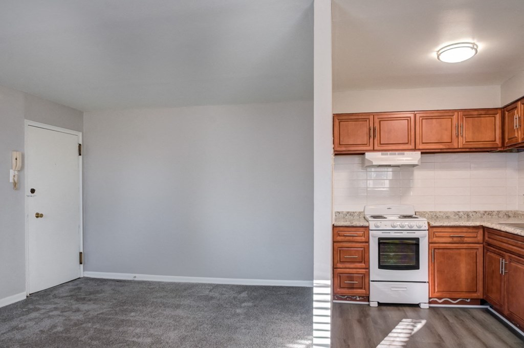 view of kitchen and living room