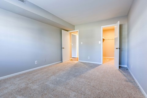 an empty living room with blue walls and carpet