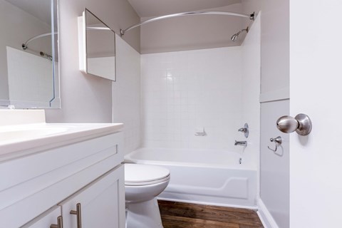 a bathroom with a toilet and a tub and a sink