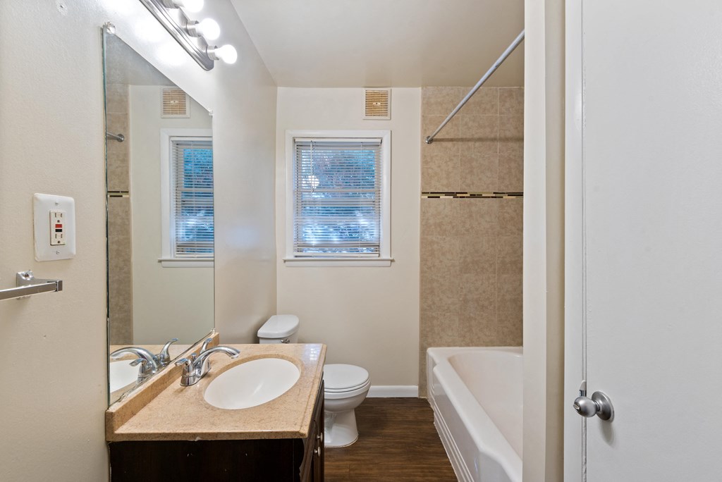 a bathroom with a sink and a toilet and a bath tub
