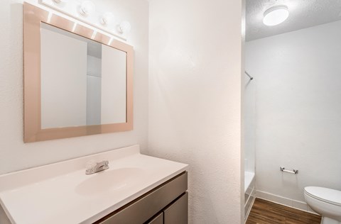 A bathroom with a sink, mirror, and toilet.