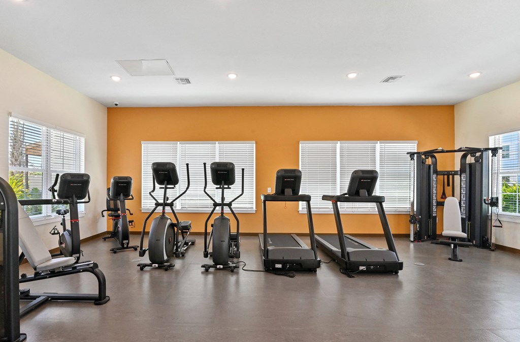 the fitness room has cardio equipment and weights