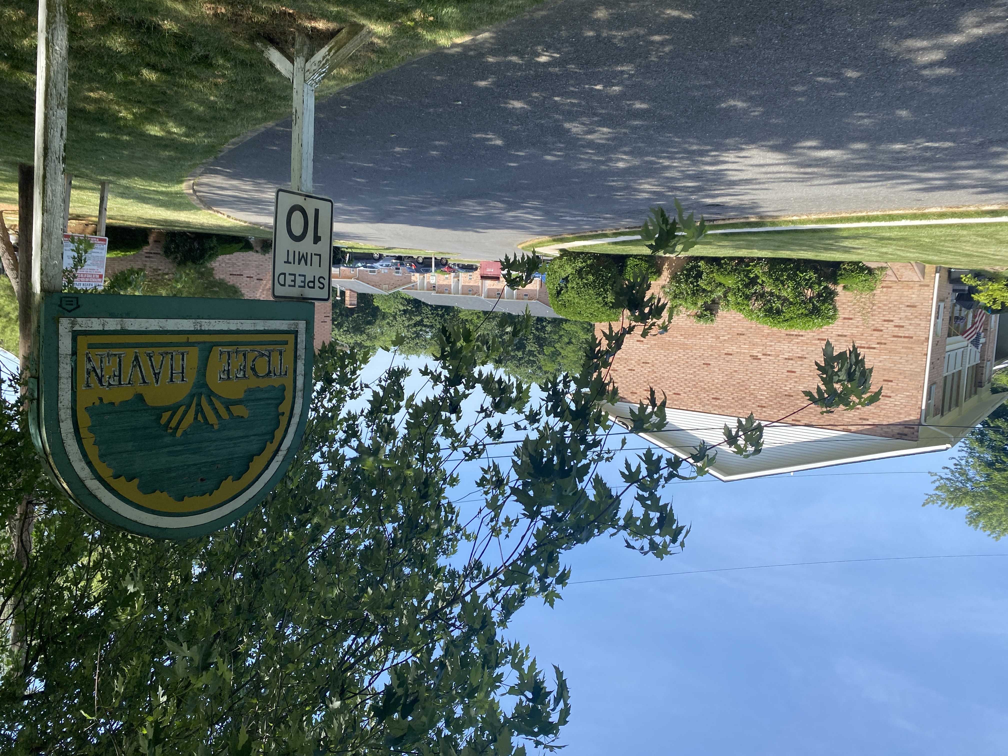 a street sign on a pole next to a tree