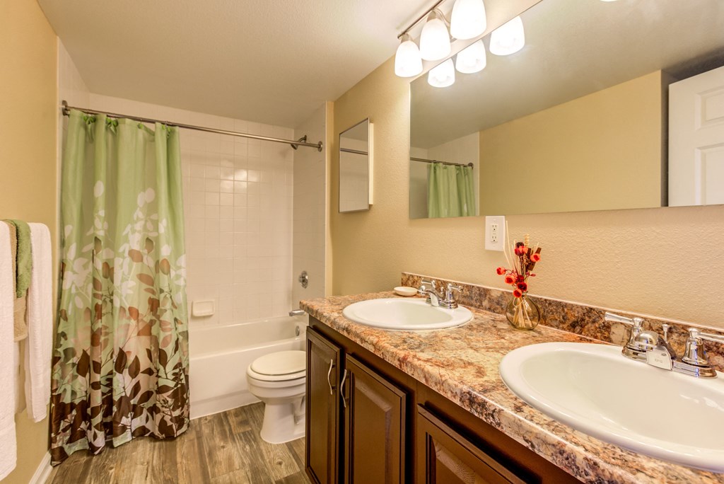 a bathroom with a sink and a toilet and a shower
