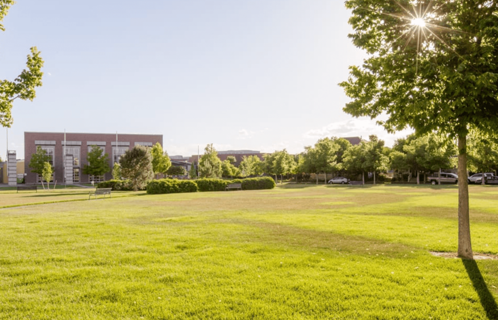 a grassy field with a building in the background