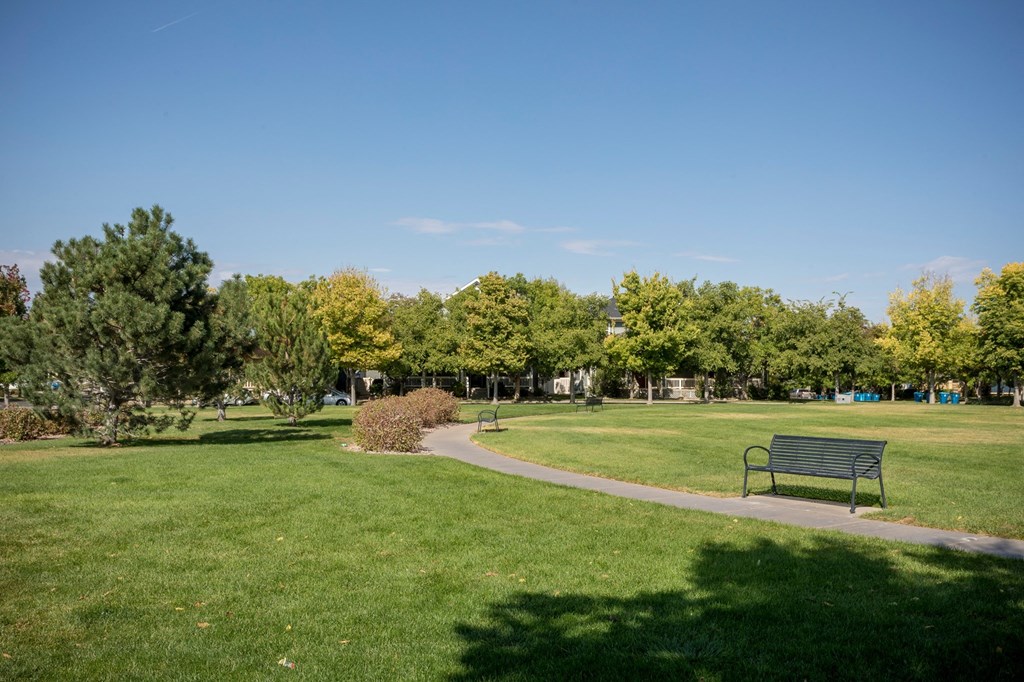 a park with green grass and trees