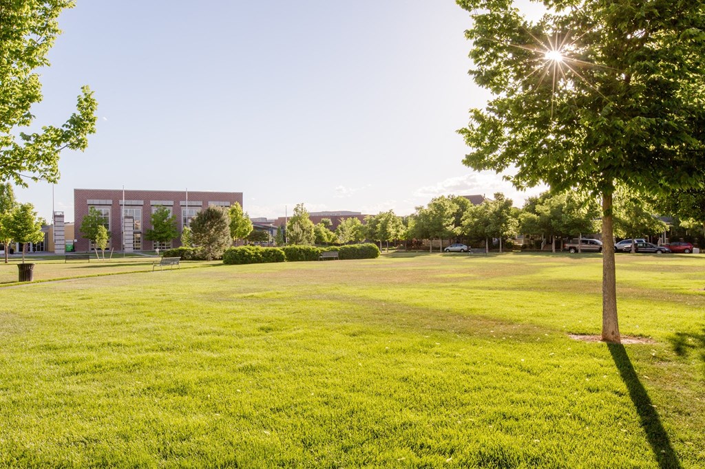 a grassy area with a tree in the foreground and a building in the background