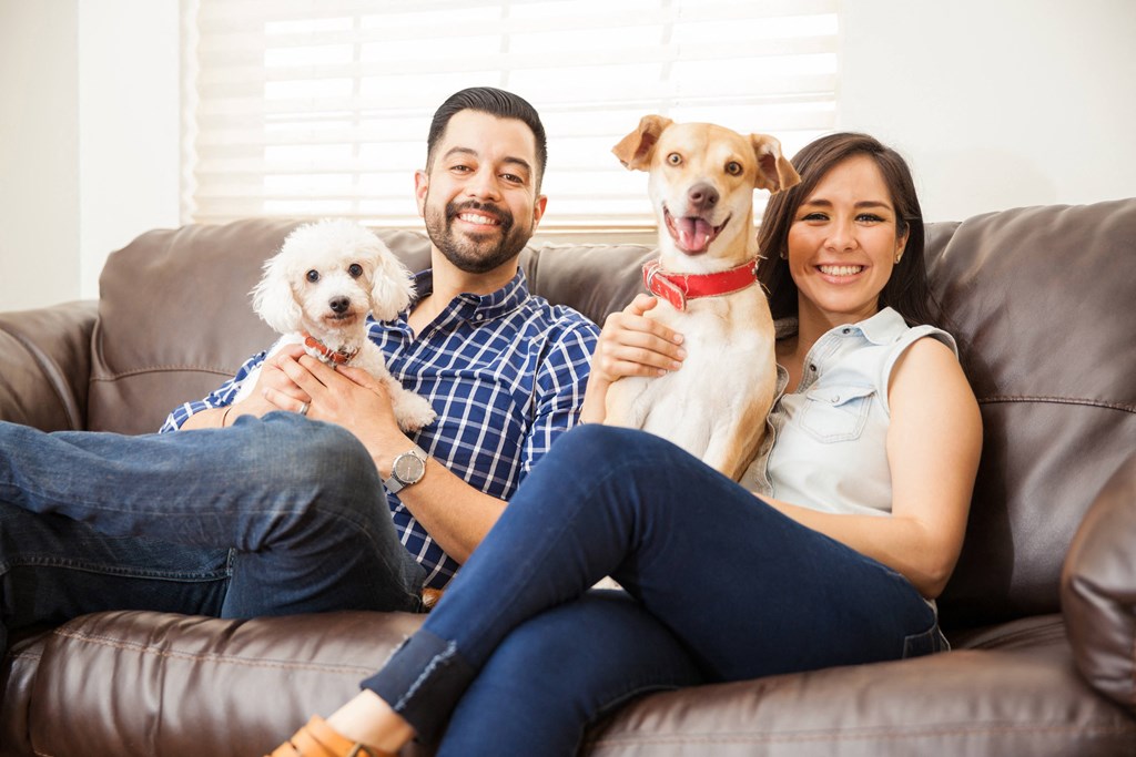 a man and woman sitting on a couch with three dogs