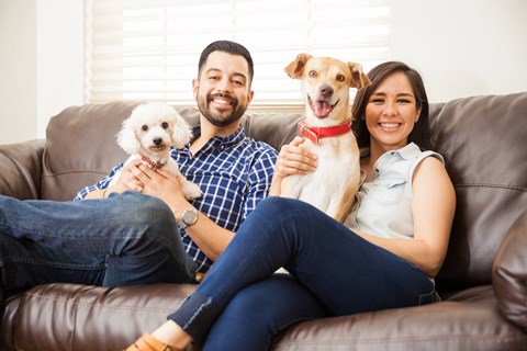 Family With Puppy at Belle Creek Apartments, Henderson, CO, Colorado