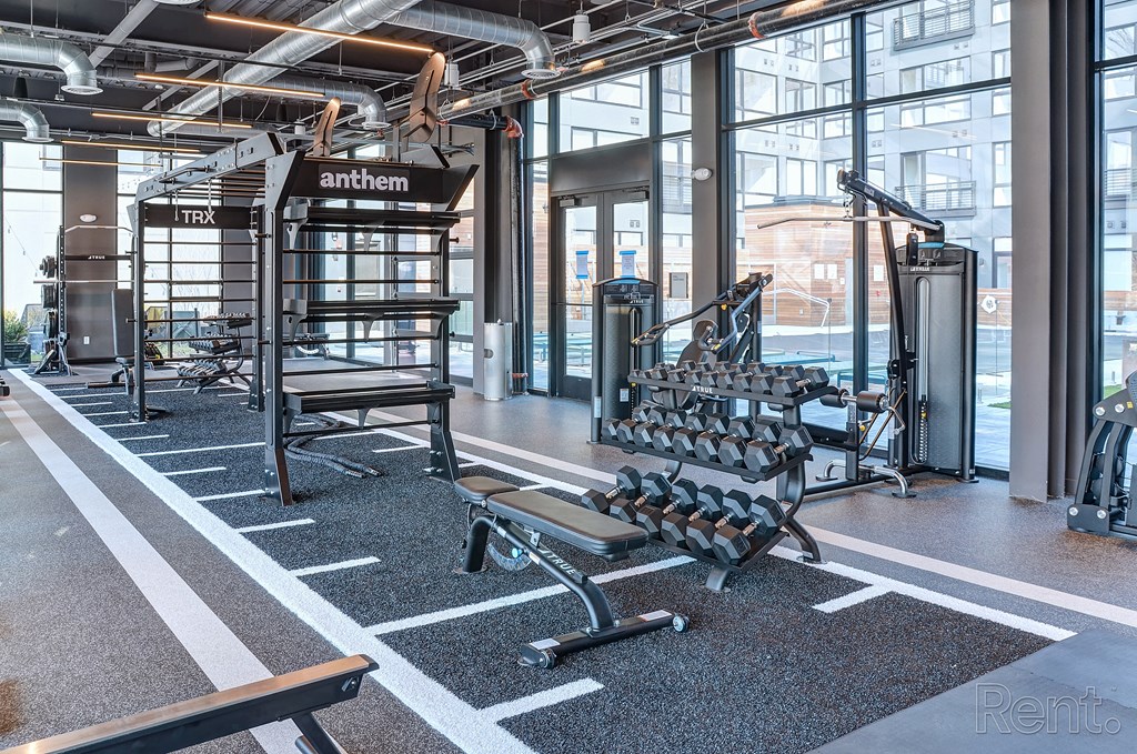 A gym with a variety of equipment including a bench, weights, and a TRX system at The Anthem at Square 10 Apartments, New Haven, CT, 06510