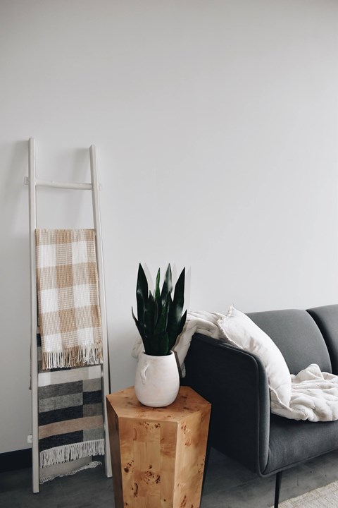 A plant sits on a wooden block next to a grey couch.
