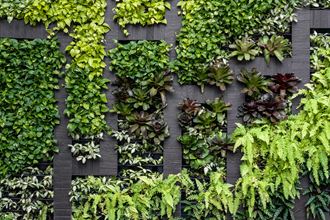 Green Space at Sono Central Residential, Norwalk, CT, 06854