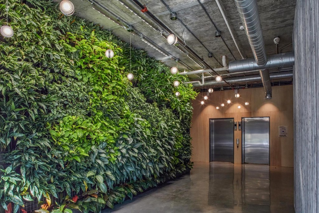 A green wall of plants lines a hallway at The Anthem at Square 10 Apartments, New Haven, Connecticut