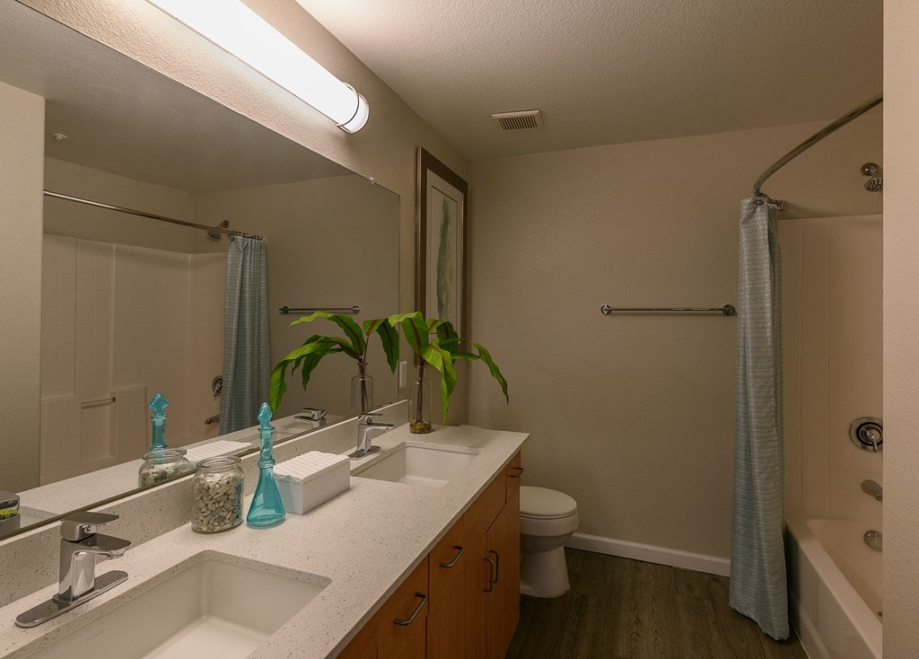 the enclave at homecoming terra vista bathroom