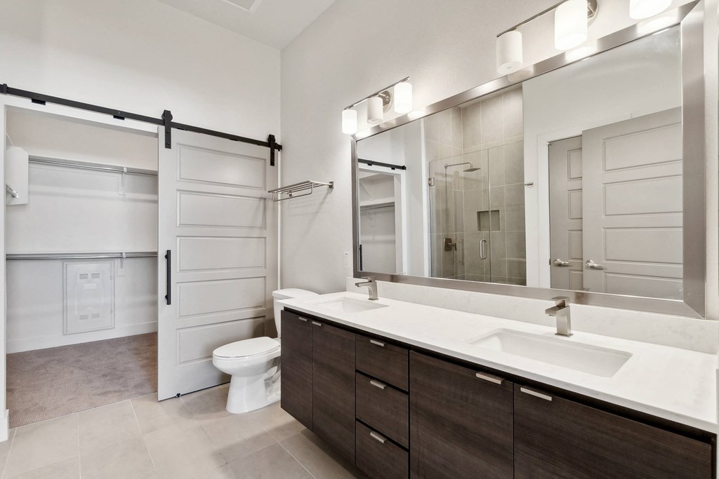 a bathroom with a sink and a mirror and a toilet