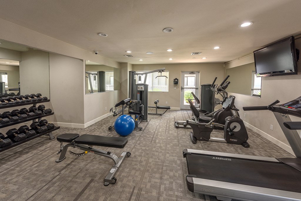 Peoria Apartments- Moxi Apartments-  the gym at the enclave at woodbridge apartments in sugar land, tx