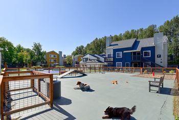 two dogs laying on the ground in a fenced in dog park