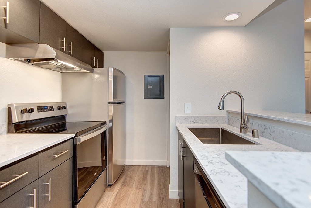 Kent Apartments- Astral Apartments- Kitchen- stainless steel