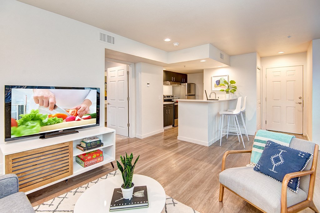 Kent Apartments- Astral Apartments- living room