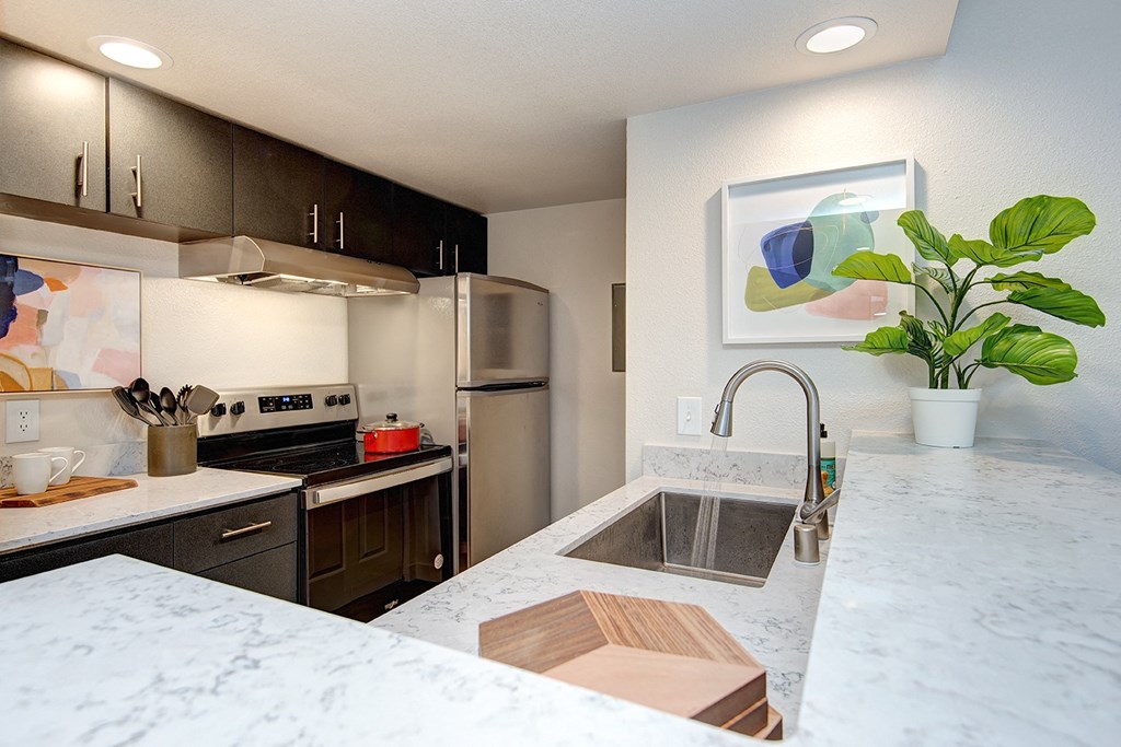 Kent Apartments- Astral Apartments- kitchen- natural light