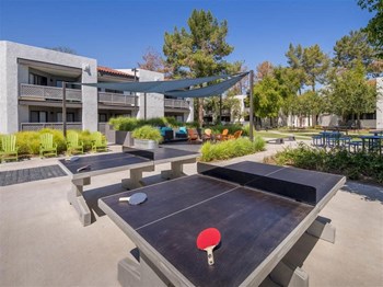 Ping Pong Table - Photo Gallery 3
