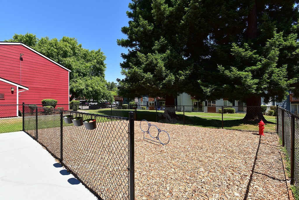 our apartments have a dog park with a playground
