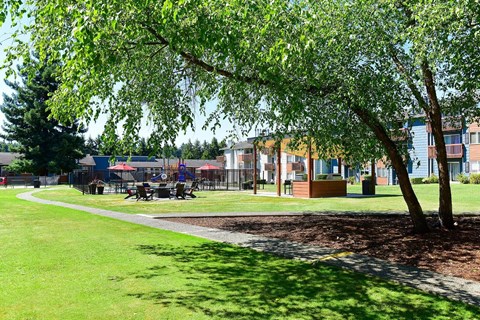 A tree in a grassy area with a building in the background. at Brookstone, Washington, 98198