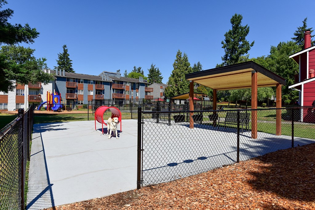 our apartments showcase a dog park with plenty of room to run