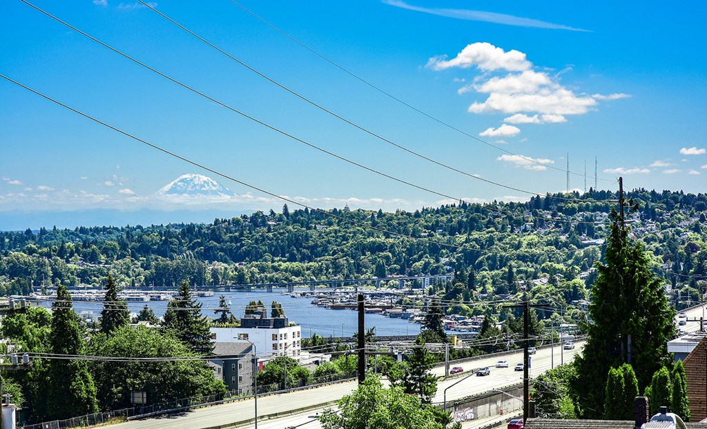 a view of the city of seattle and mt. rainier