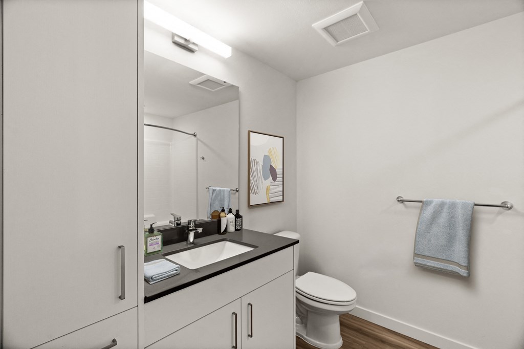 a bathroom with a sink and a toilet and a mirror