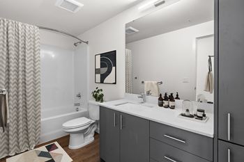 a bathroom with a sink and a toilet and a shower