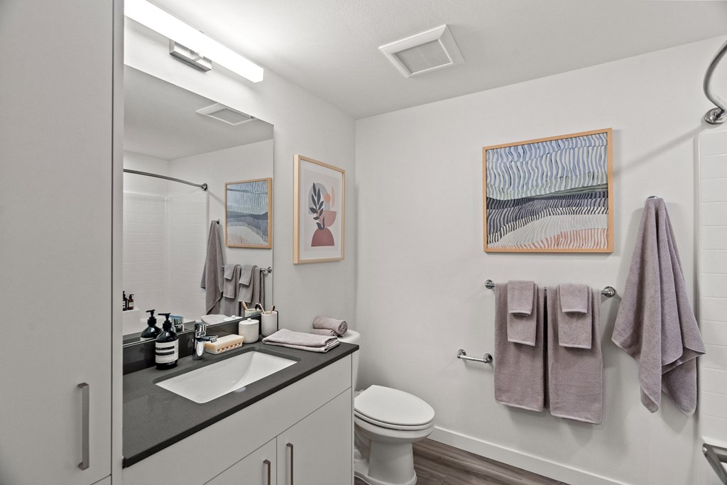 a bathroom with a sink and a toilet and a shower