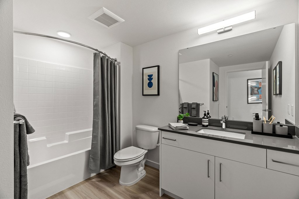 a bathroom with a shower toilet and sink and a mirror