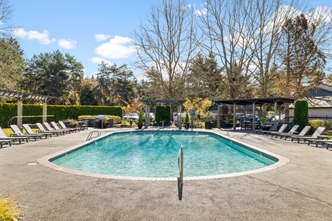 A large outdoor swimming pool surrounded by lounge chairs and trees.