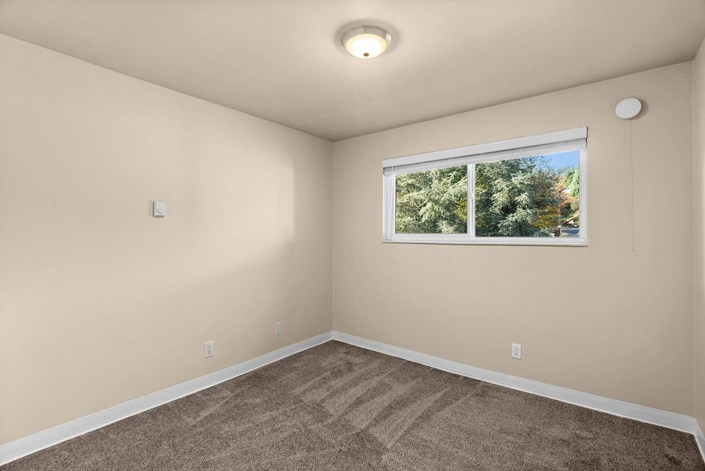 A room with a carpeted floor and a window showing trees outside.