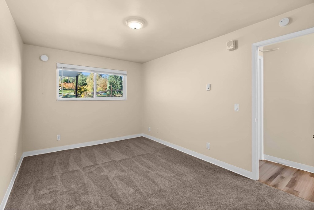 A room with a carpeted floor and a window showing trees outside.