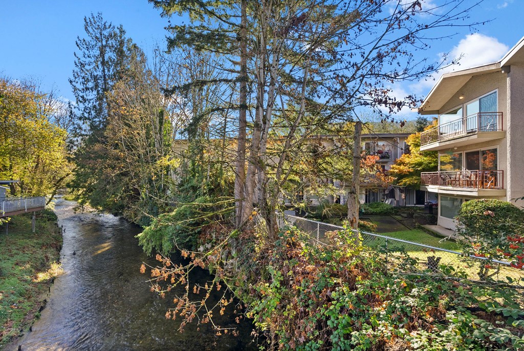 A river flows through a residential area with houses on the right.
