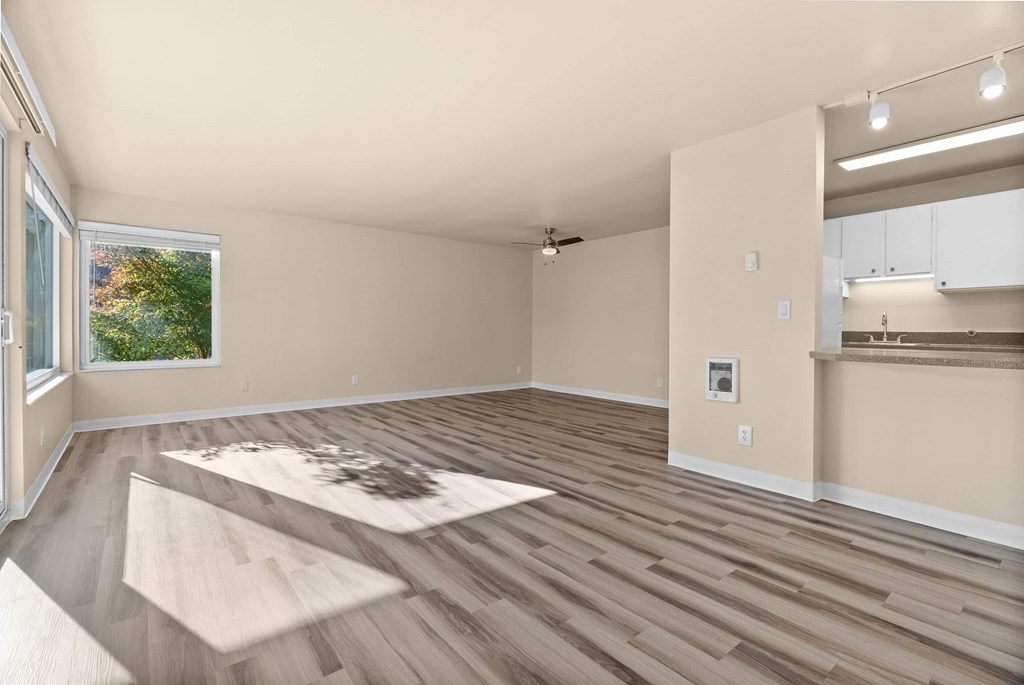 A room with wooden flooring and a window showing greenery outside.