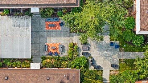 A patio with a couch and chairs surrounded by green plants.