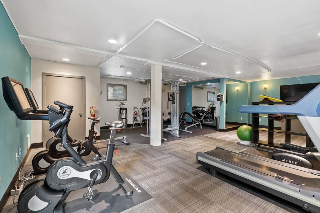 A room with a treadmill, exercise bike, and other workout equipment.