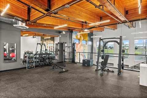 A gym with a variety of equipment including treadmills, weights, and exercise machines.